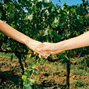 GLEAM LONDON CAMPORELLA